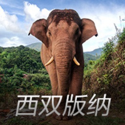赵丽颖新片，吵得太凶！